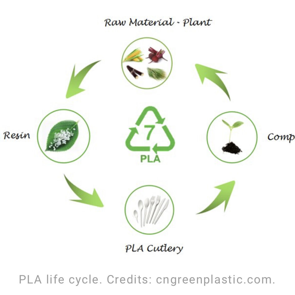 Raw Material • Plant